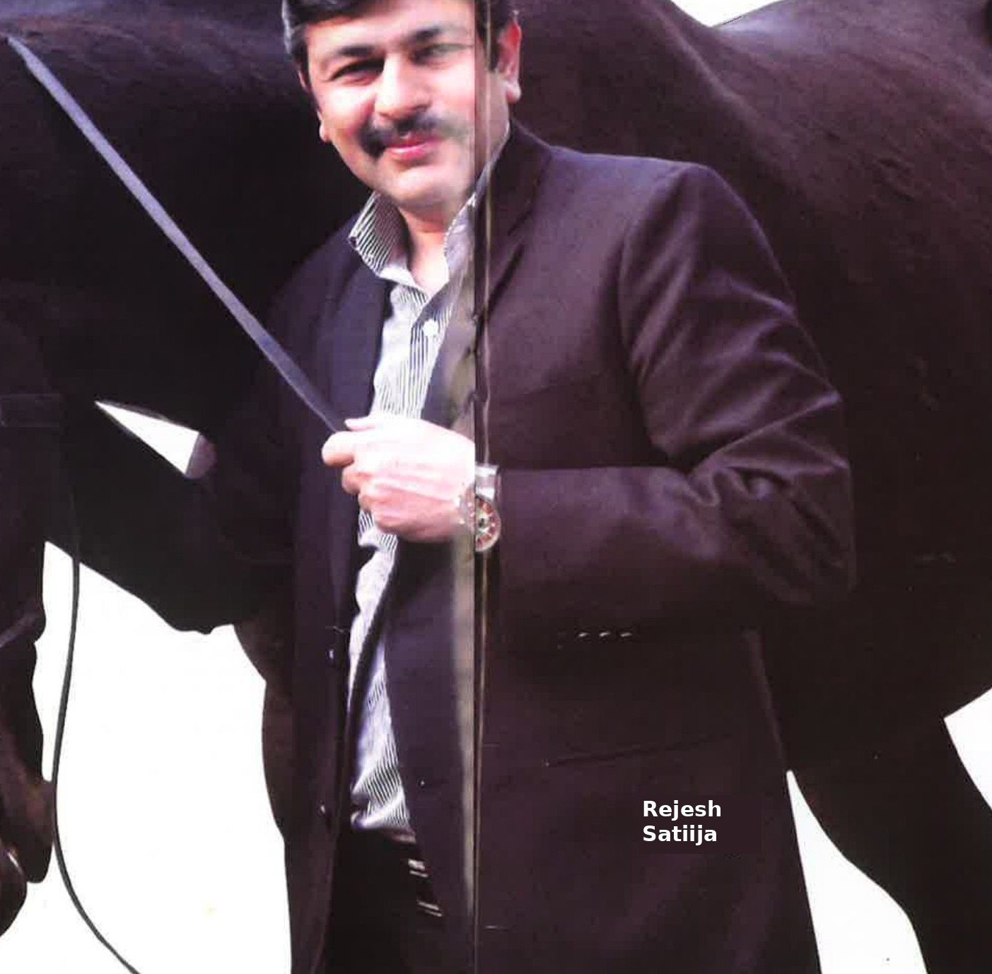 Horse Breeding & Stud Farms
